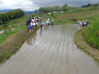 DSC01544.JPG