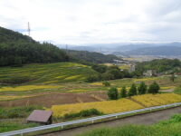 DSC01916.JPG