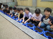 202605asagao02.jpg