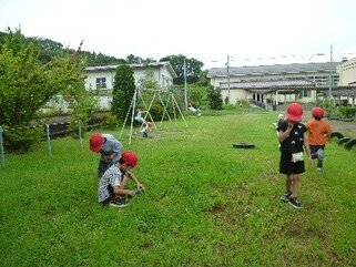 202609akisagasi.jpg