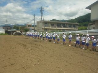 20200624hatake002.jpg