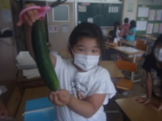 20200710hatake002.jpg