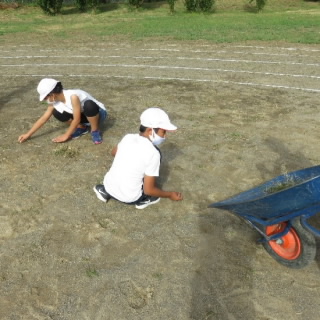 20200911hiroi001.jpg
