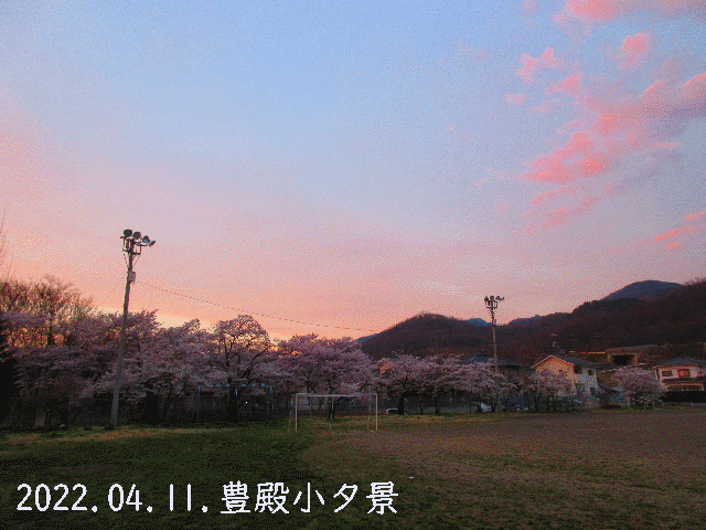 20220411Top.gif