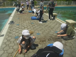 R04052005nenNo06.jpg
