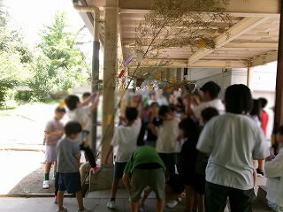 100_0817.jpg