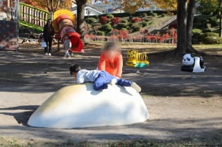 61113hurehimakougai (6).jpg