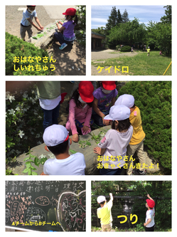 IMG_2912.PNG