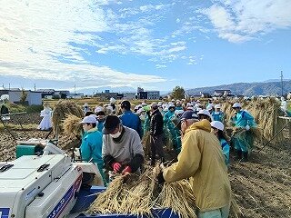 IMG20251106092330.jpg