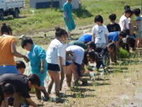画像4.jpg