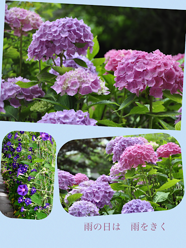 IMG_3396.PNG