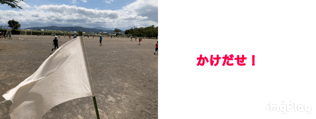 NDWY0440.GIF