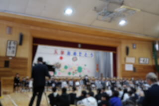 20260406.JPG