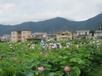 20200729sanpo002.JPG
