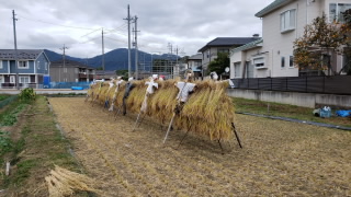 20201015inekari003.jpg
