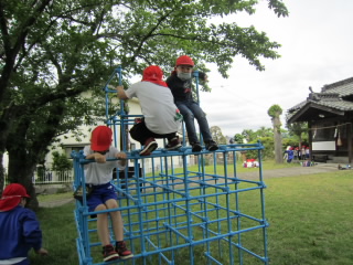 20210520osanpo002.JPG