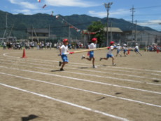 IMG_7394.jpg