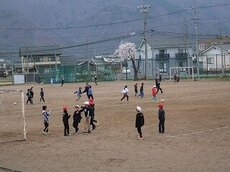 IMG_3555.jpg