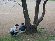 IMG_3564.jpg
