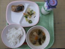 IMG_3861.jpg