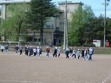 IMG_4269.jpg