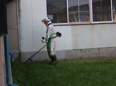 IMG_4445.jpg