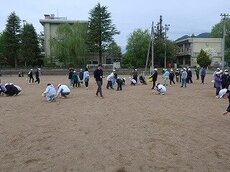 IMG_4521.jpg