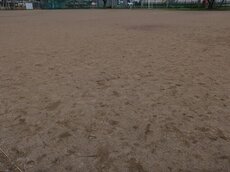 IMG_4527.jpg