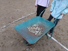 IMG_4528.jpg