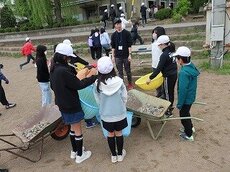 IMG_4531.jpg