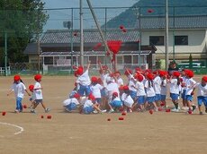 IMG_5198.jpg