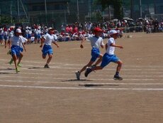 IMG_6024.jpg