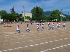 IMG_5194.jpg