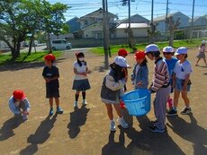 IMG_0908.jpg