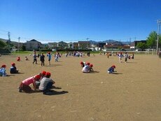 IMG_0910.jpg
