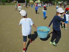 IMG_0914.jpg