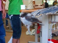 IMG_4733.jpg