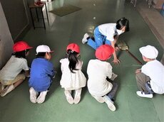 IMG_4761.jpg