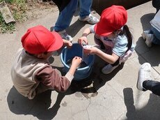 IMG_4769.jpg