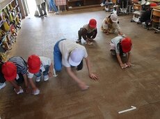 IMG_4779.jpg