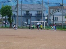 IMG_4801.jpg