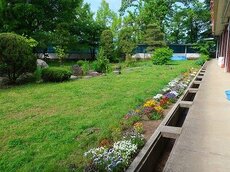 IMG_4803.jpg