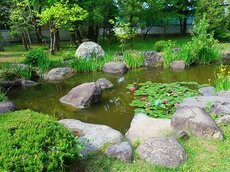 IMG_4804.jpg