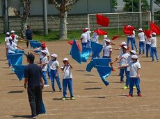 IMG_4844.jpg