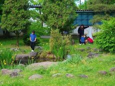 IMG_4865.jpg