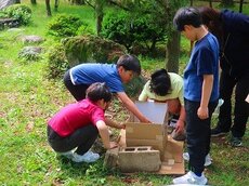 IMG_4877.jpg