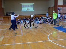 IMG_5016.jpg