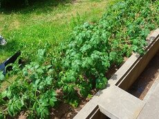 IMG_5110.jpg