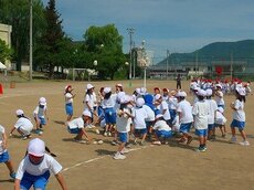 IMG_5201.jpg