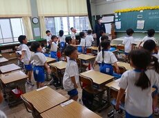 IMG_5233.jpg